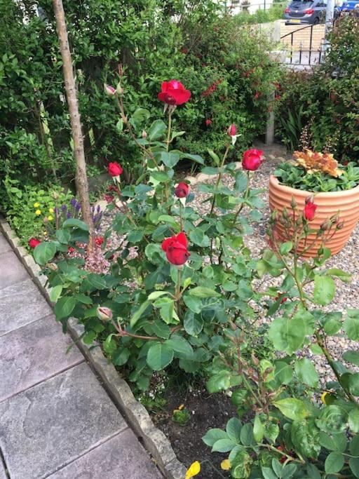 Rose Cottage, Newbiggin-by-the-sea Holiday home