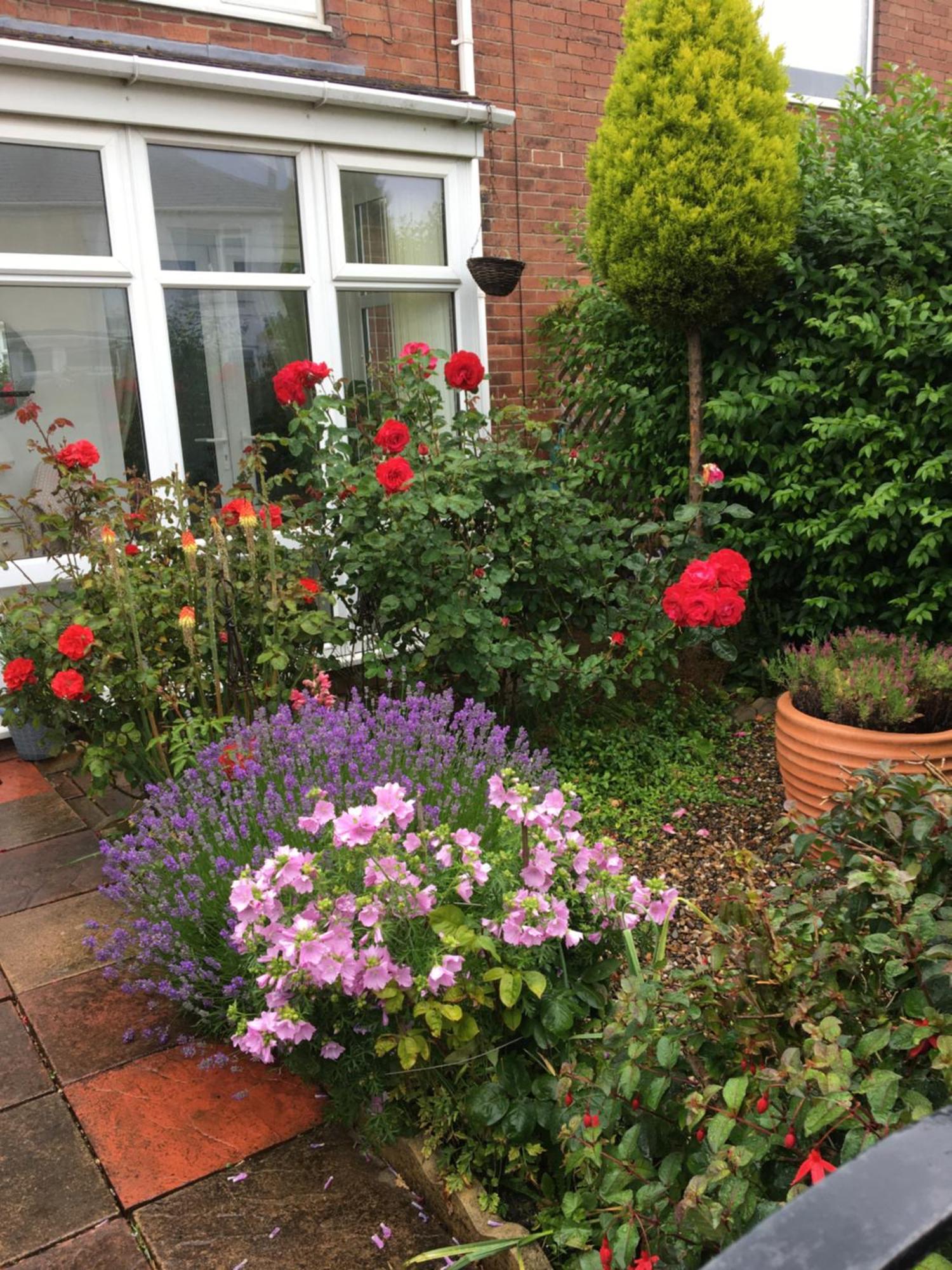 Rose Cottage, Newbiggin-by-the-sea *